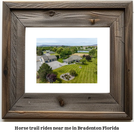 horse trail rides near me in Bradenton, Florida